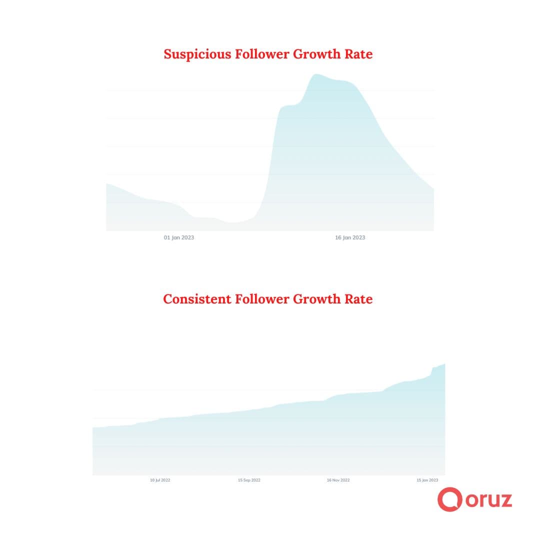 follower-growth